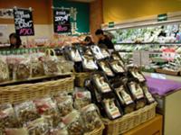 Japan Store Ru Интернет Магазин Японских Товаров
