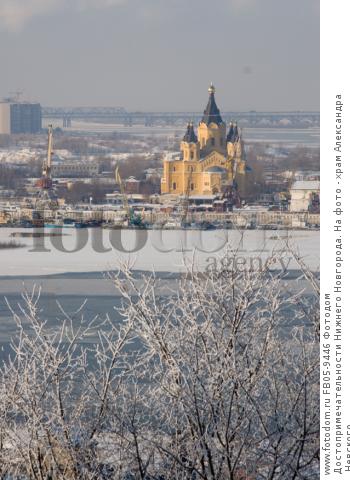 FB05-9446.jpg?size=l