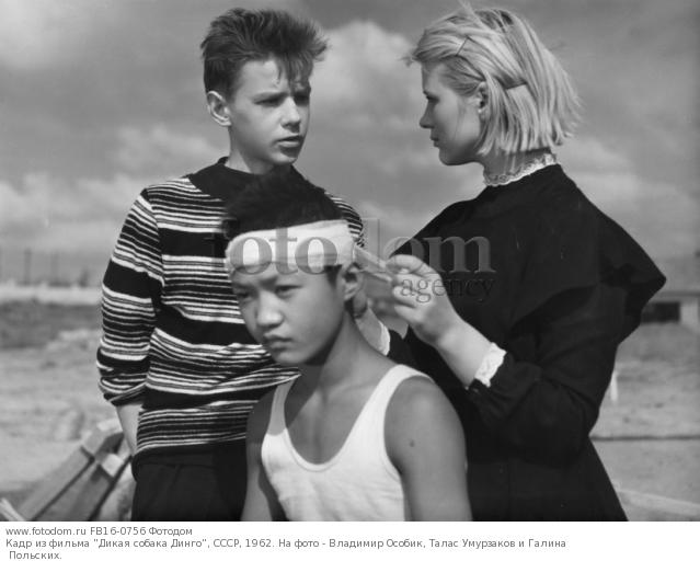 Актеры фильма дикая собака динго фото Актеры фильма дикая собака динго фото