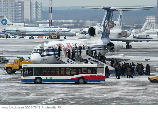 Кактусы - виды, фото с названиями на русском, описание Новости Эстонии - Delfi