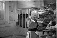 Кадр из фильма «Девчата», (1961). На фото: Надежда