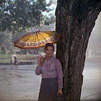 Кадр из фильма «Портрет с дождем», (1977). На фото