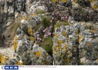 Внутренние Гебридские острова в Атлантическом океа