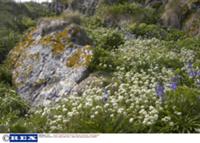 Внутренние Гебридские острова в Атлантическом океа