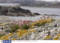 Внутренние Гебридские острова в Атлантическом океа