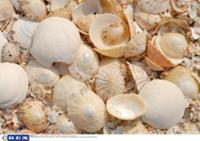 Внутренние Гебридские острова в Атлантическом океа