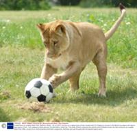 EG_16.07 PS vs PC Baamboozle - Baamboozle The Most Fun Classroom Games!