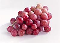 Red table grapes