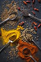 Dry indian spices, cumin, chilli, coriander, musta