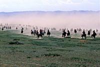 Надом - праздник и традиционное монгольское состяз